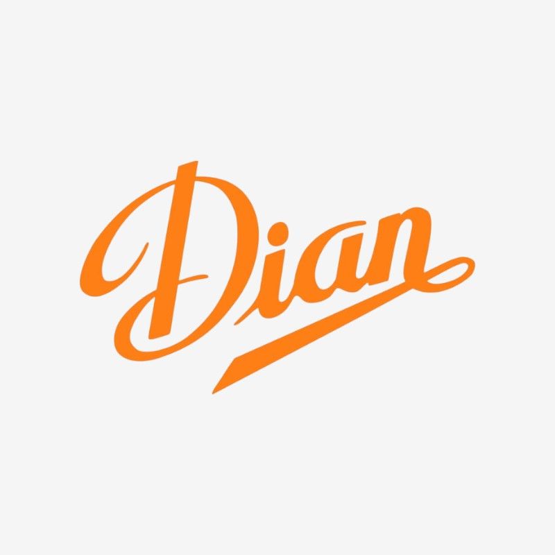 Logo de Dian, marca española de calzado laboral y sanitario